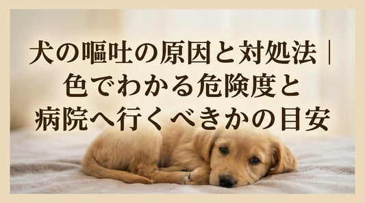 犬の嘔吐の原因と対処法｜色でわかる危険度と病院へ行くべきかの目安