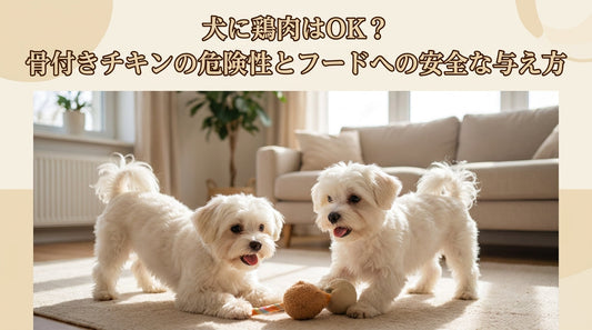 犬に鶏肉はOK？骨付きチキンの危険性とフードへの安全な与え方
