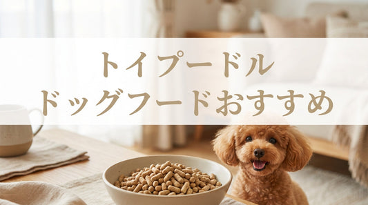 トイ プードル ドッグフードおすすめ