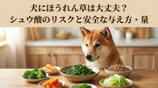 犬にほうれん草は大丈夫？シュウ酸のリスクと安全な与え方・量