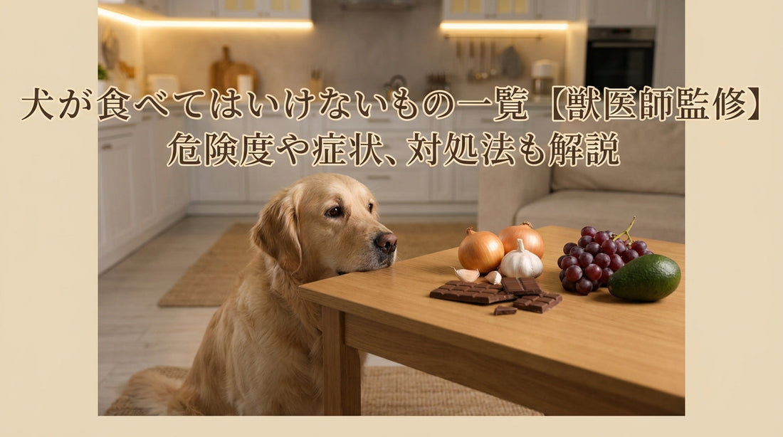 犬が食べてはいけないもの一覧【獣医師監修】危険度や症状、対処法も解説