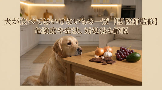 犬が食べてはいけないもの一覧【獣医師監修】危険度や症状、対処法も解説