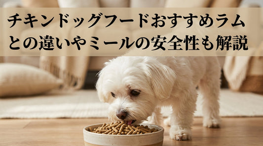 チキンドッグフードおすすめラムとの違いやミールの安全性も解説