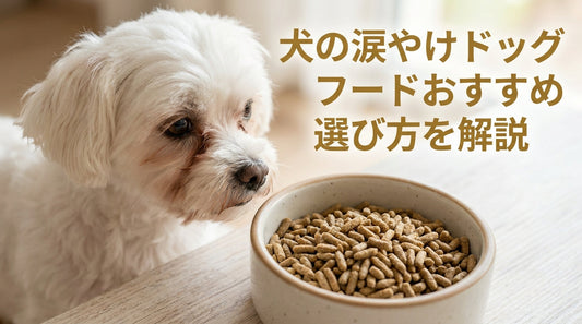 犬の涙やけドッグフードおすすめ 選び方を解説