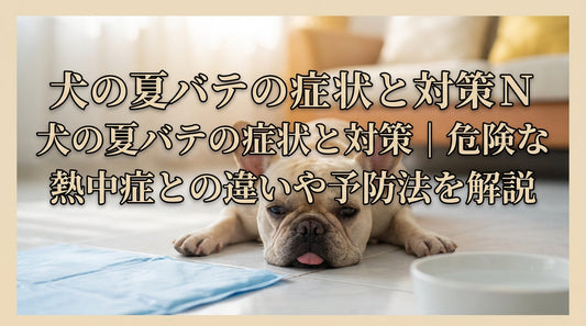 犬の夏バテの症状と対策｜危険な熱中症との違いや予防法を解説