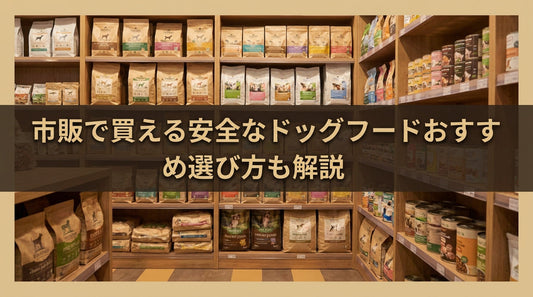 市販で買える安全なドッグフードおすす 選び方も解説