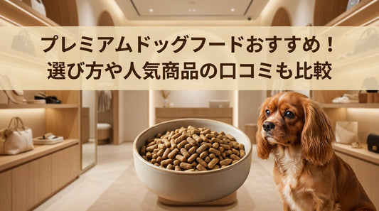 プレミアムドッグフードおすすめ！選び方や人気商品の口コミも比較