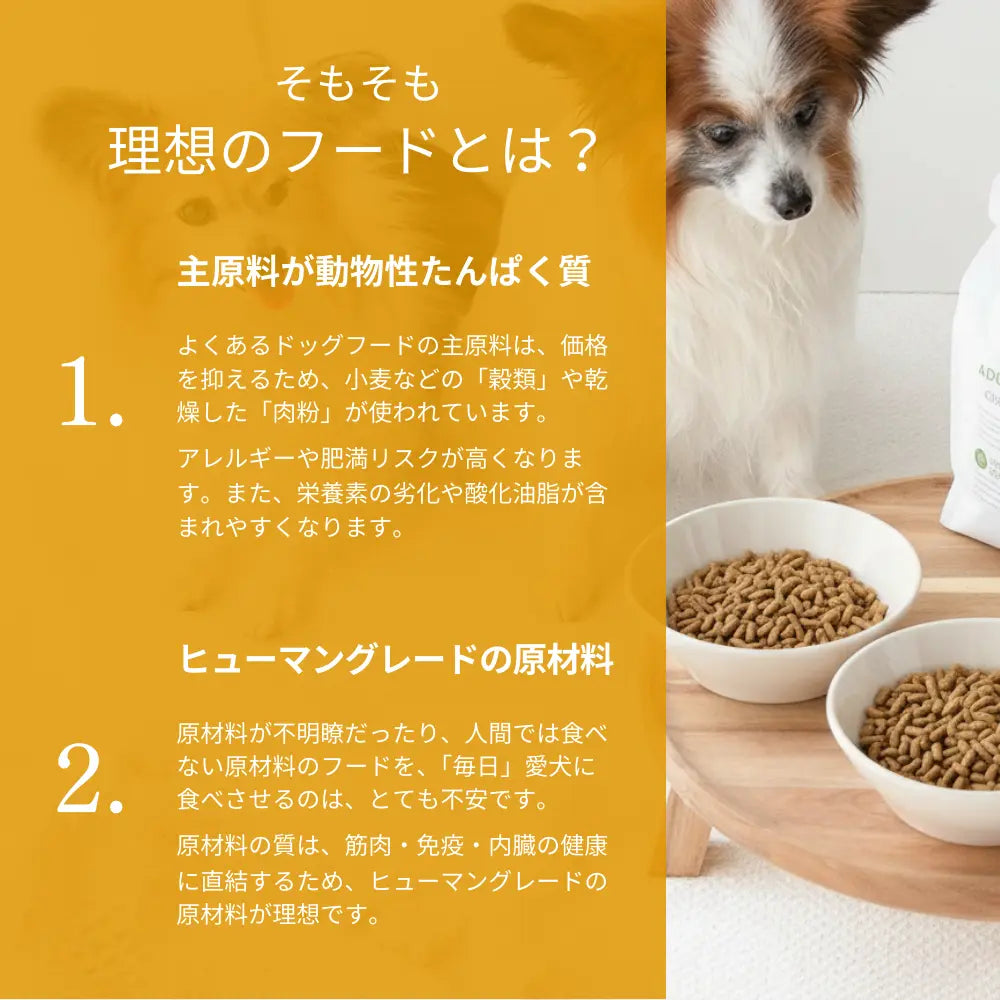 ミートワークス 鹿肉｜国産無添加ドッグフード｜漢方・薬膳