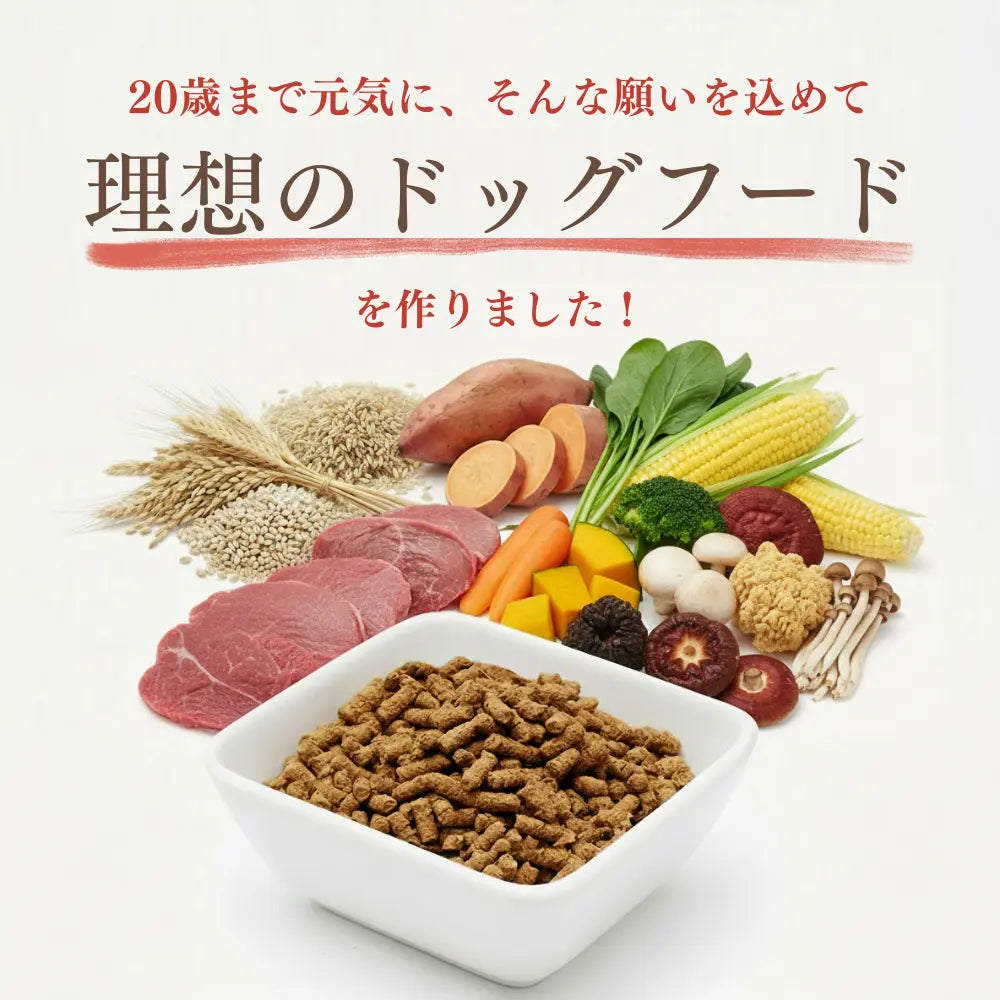 ミートワークス 鹿肉｜国産無添加ドッグフード｜ドライ NATURE WORKS