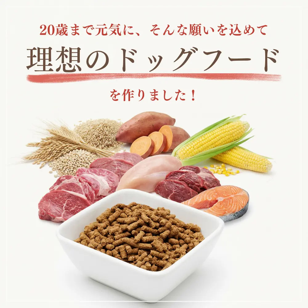 ミートワークス ミックス｜国産無添加ドッグフード｜ドライフード