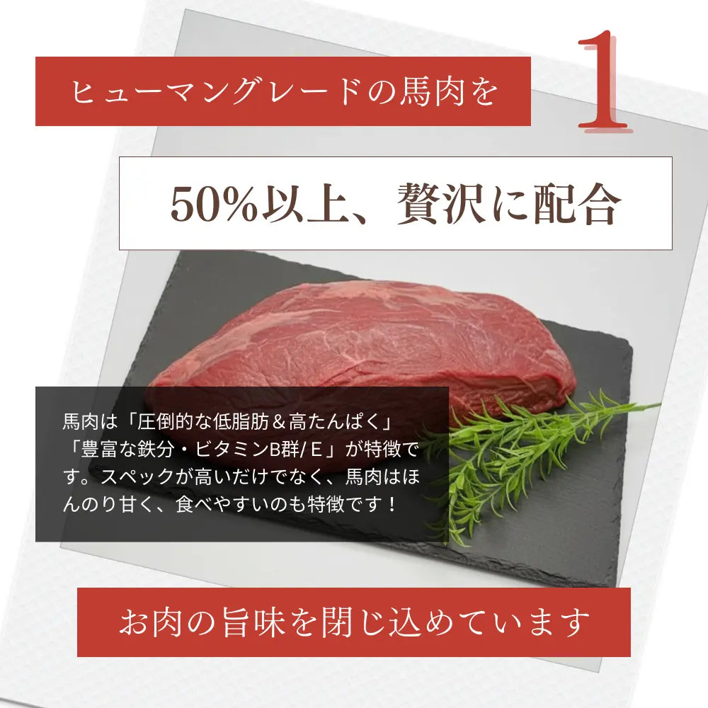 ミートワークス 馬肉｜国産無添加ドッグフード｜ドライ NATURE WORKS