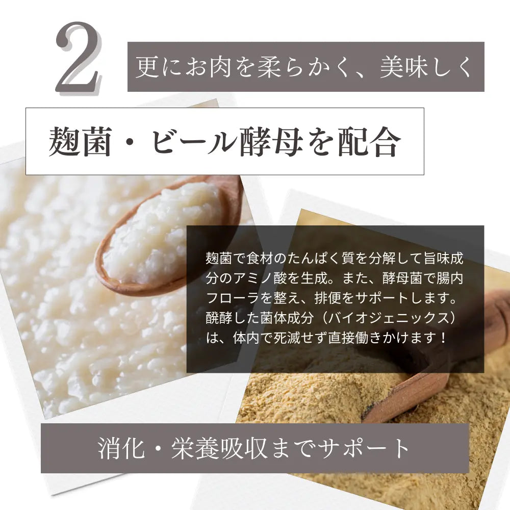ミートワークス ミックス｜国産無添加ドッグフード｜ドライ NATURE WORKS