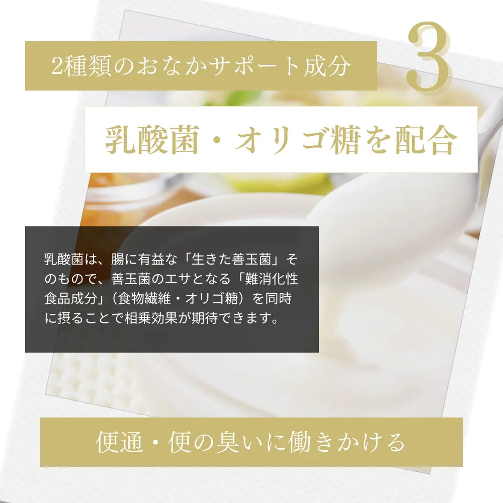 ミートワークス ミックス｜国産無添加ドッグフード｜ドライ NATURE WORKS
