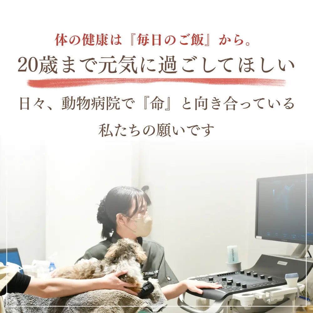 ミートワークス ミックス｜国産無添加ドッグフード｜ドライ NATURE WORKS