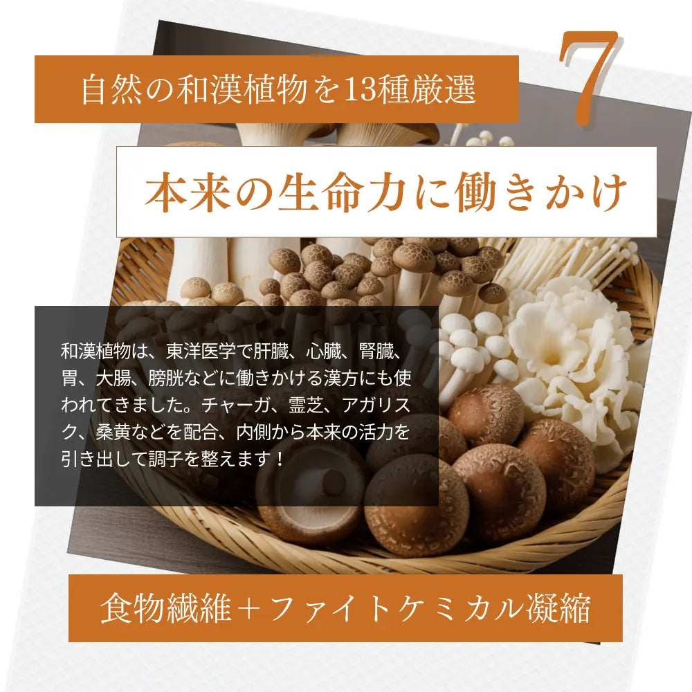 ミートワークス 鹿肉｜国産無添加ドッグフード｜ドライ NATURE WORKS